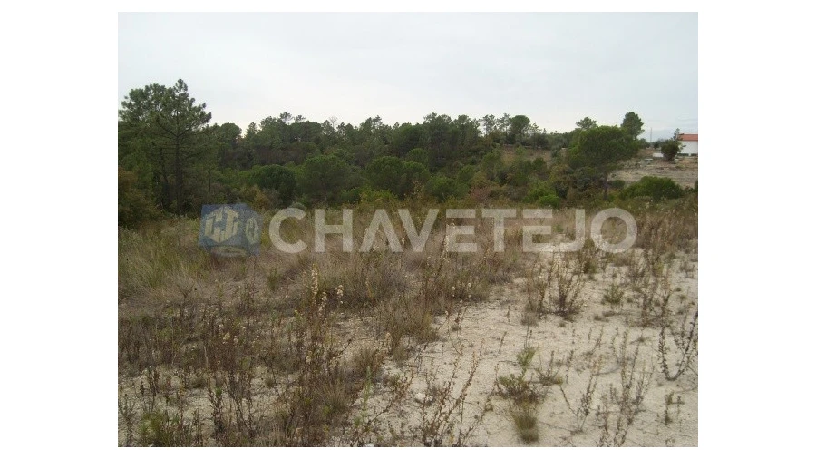 Terreno para Venda em Carregueiros Foto 2