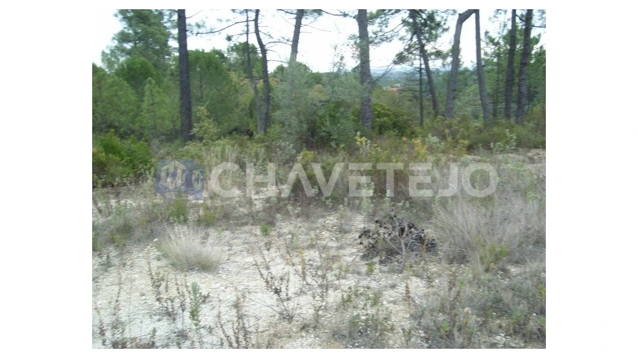 Terreno para Venda em Carregueiros Foto 4