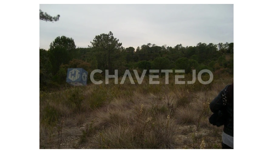 Terreno para Venda em Carregueiros Foto 5