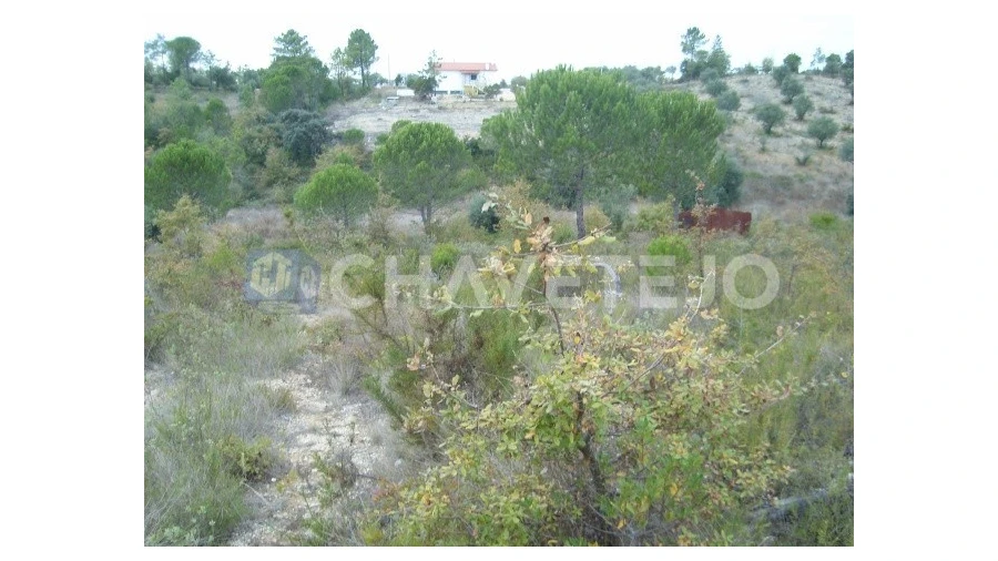 Terreno para Venda em Carregueiros Foto 6