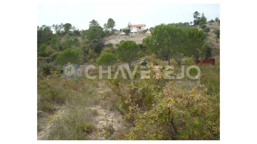Terreno para Venda em Carregueiros Foto 8