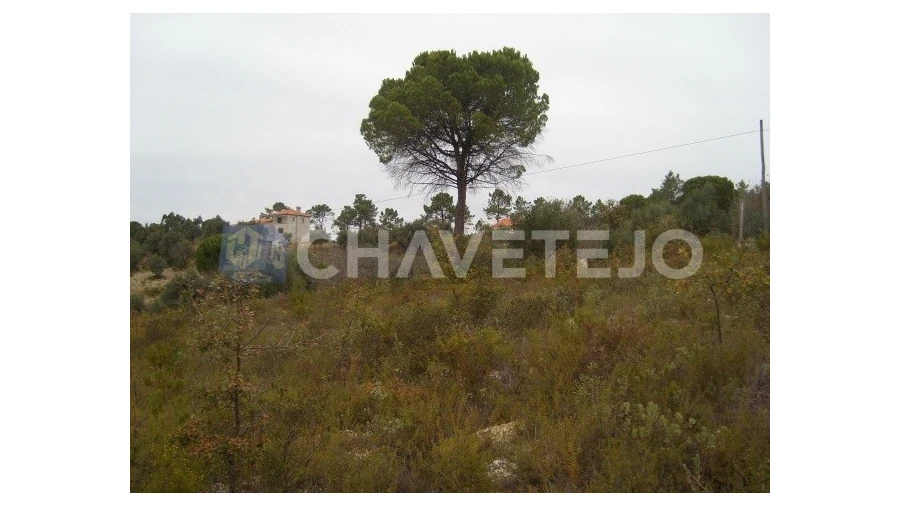 Terreno para Venda em Carregueiros Foto 9