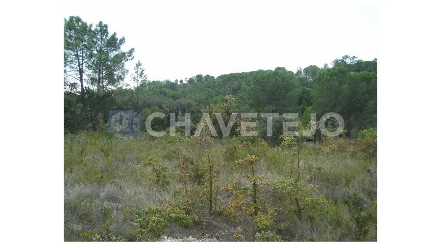 Terreno para Venda em Carregueiros Foto 10