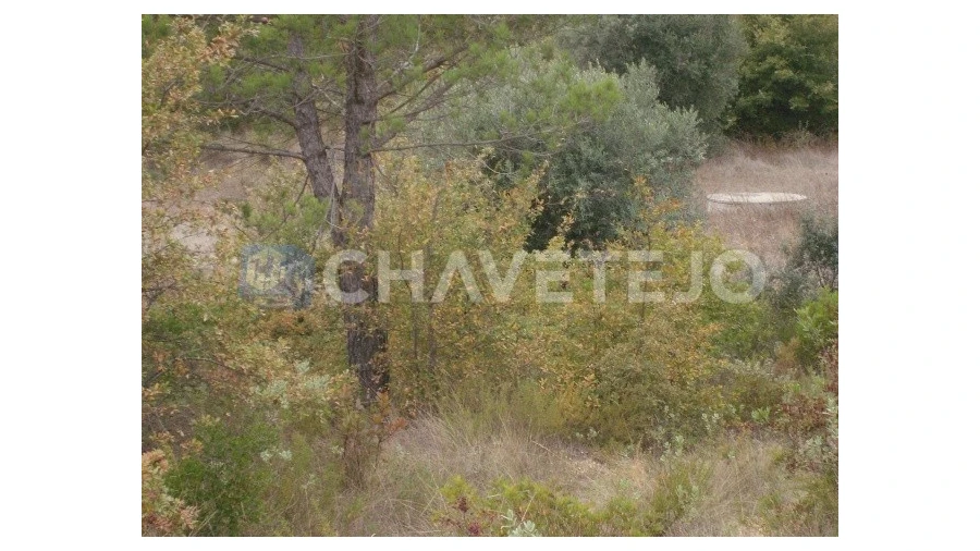 Terreno para Venda em Carregueiros Foto 11