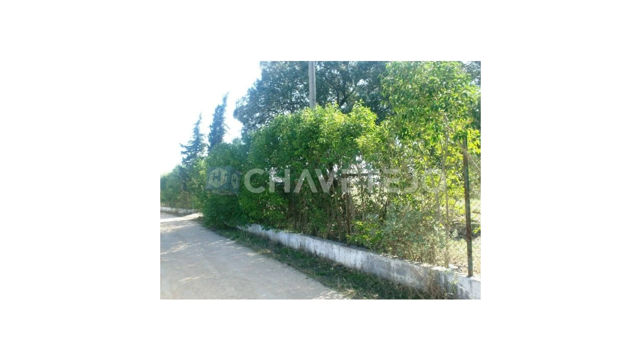 Terreno para Venda em Carregueiros Foto 1