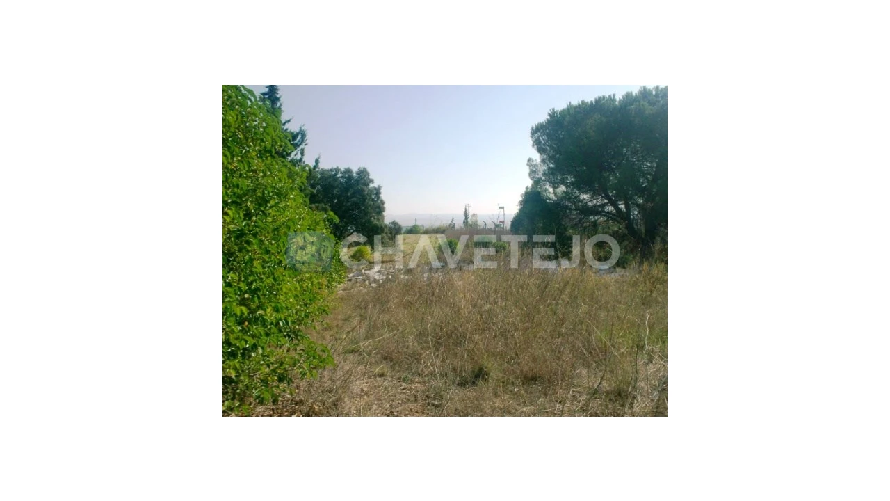 Terreno para Venda em Carregueiros Foto 5