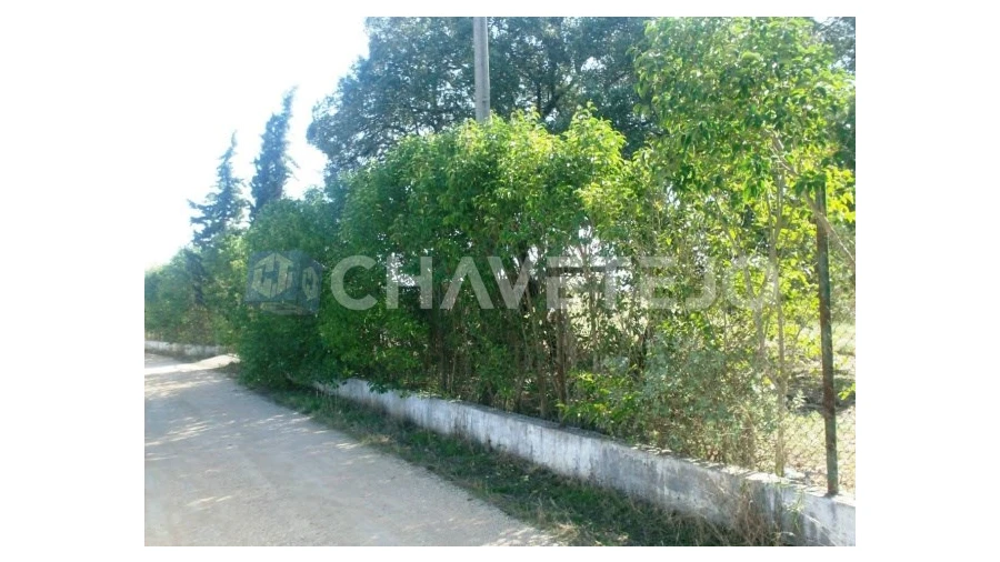 Terreno para Venda em Carregueiros Foto 1