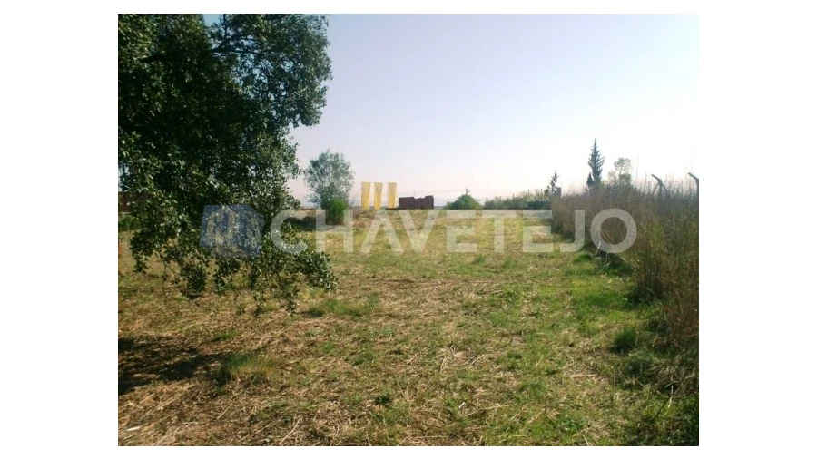 Terreno para Venda em Carregueiros Foto 2