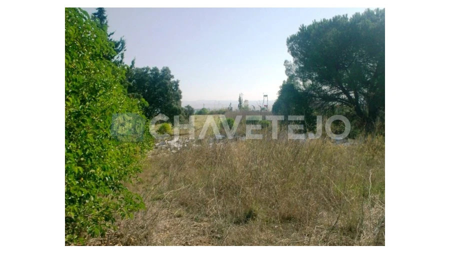 Terreno para Venda em Carregueiros Foto 5