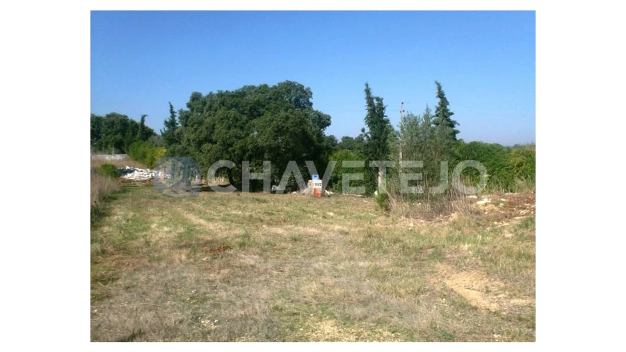 Terreno para Venda em Carregueiros Foto 7