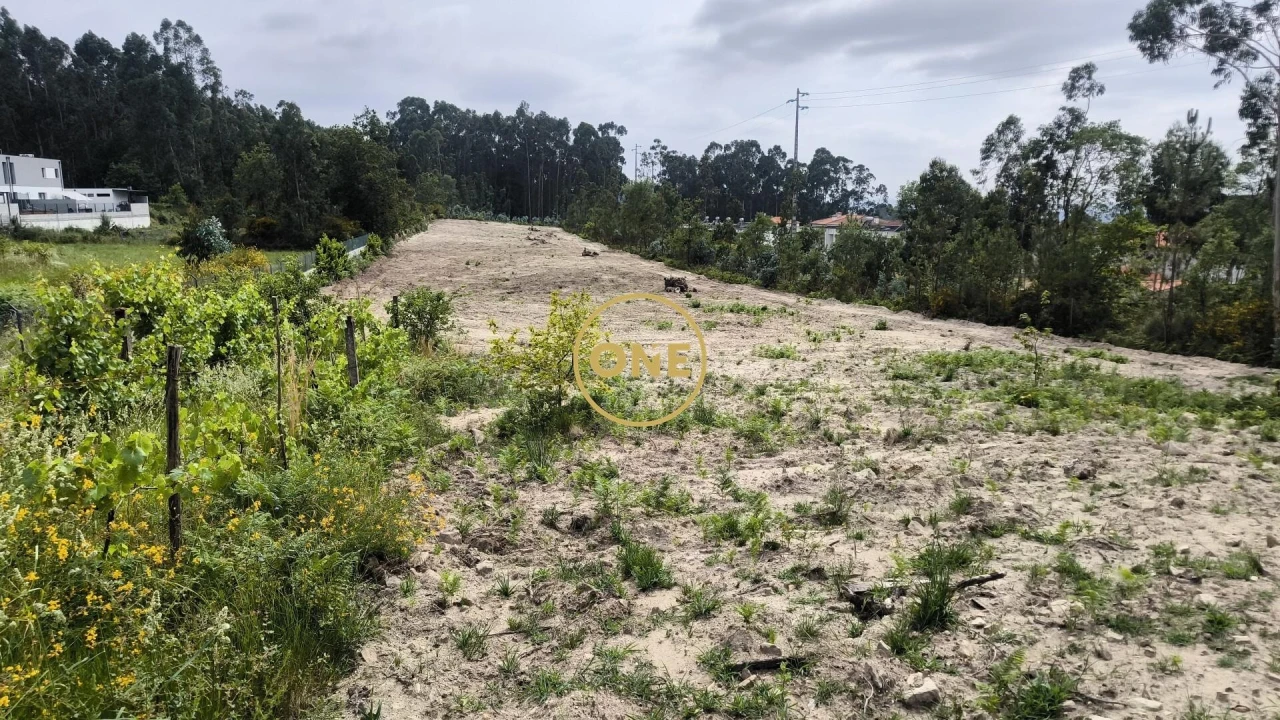 Terreno para Venda em Mogege Foto 17