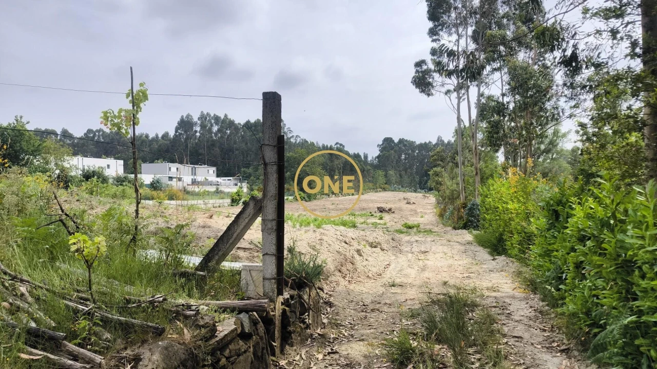 Terreno para Venda em Mogege Foto 13