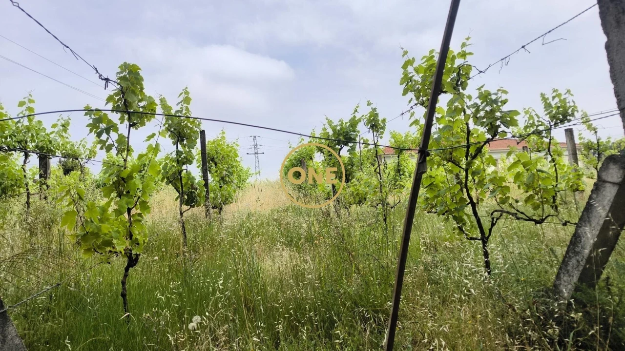 Terreno para Venda em Mogege Foto 12