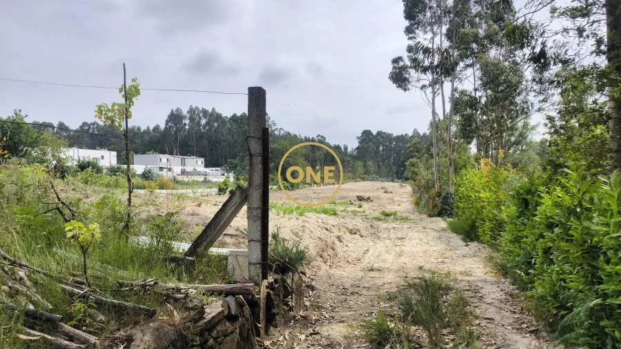 Terreno para Venda em Mogege Foto 13