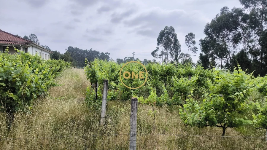 Terreno para Venda em Mogege Foto 6