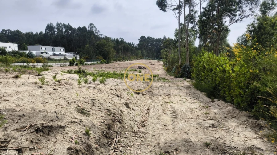 Terreno para Venda em Mogege Foto 16