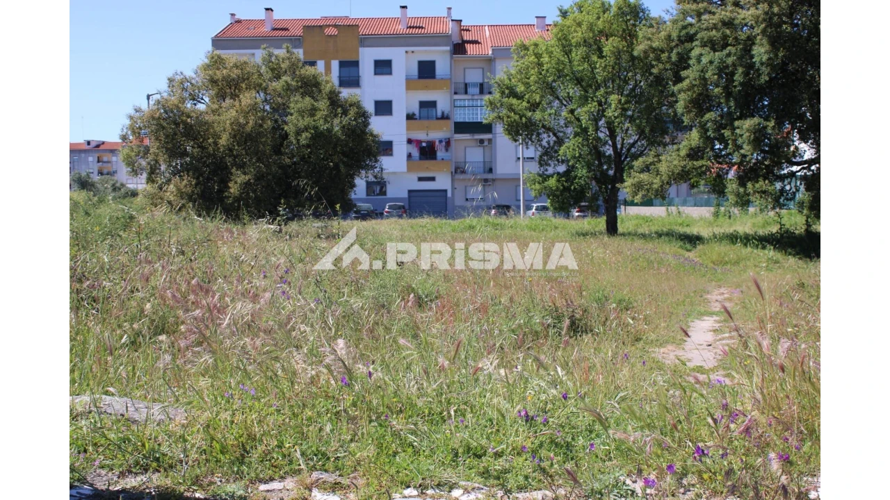 Terreno para Venda em Alcains Foto 6
