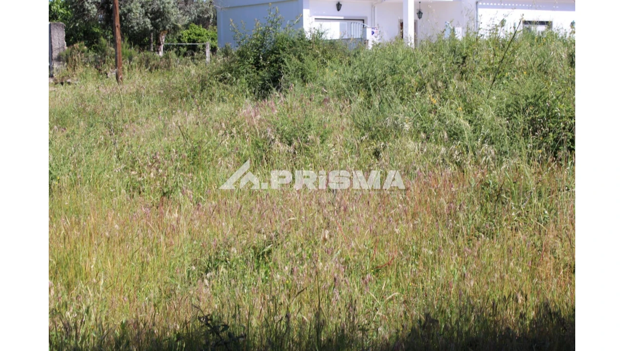 Terreno para Venda em Alcains Foto 12