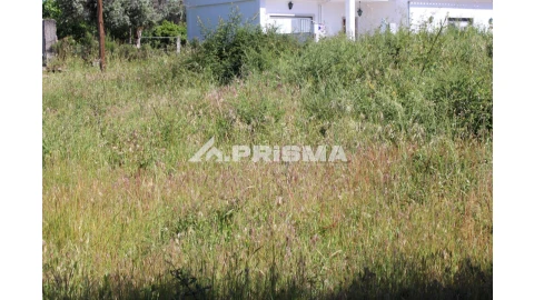 Terreno para Venda em Alcains