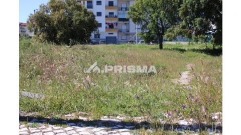 Terreno para Venda em Alcains
