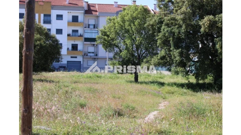 Terreno para Venda em Alcains