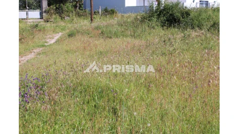 Terreno para Venda em Alcains