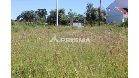 Terreno para Venda em Alcains