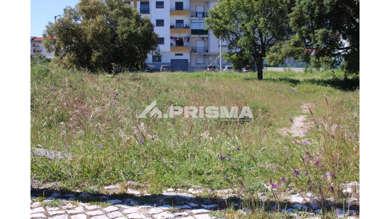 Terreno para Venda em Alcains Foto 10