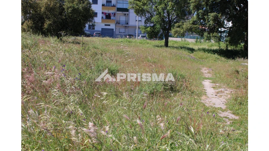 Terreno para Venda em Alcains Foto 5