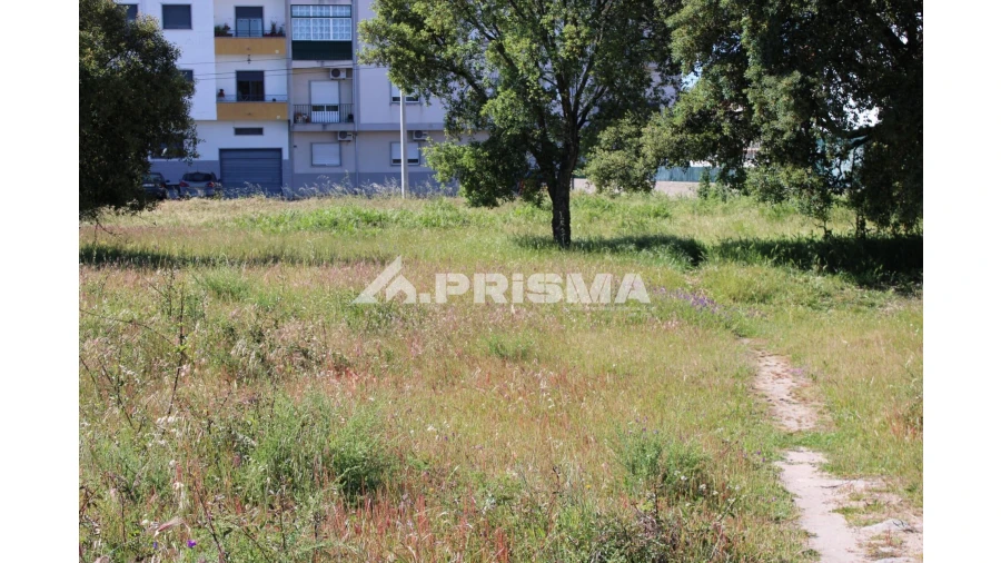 Terreno para Venda em Alcains Foto 7