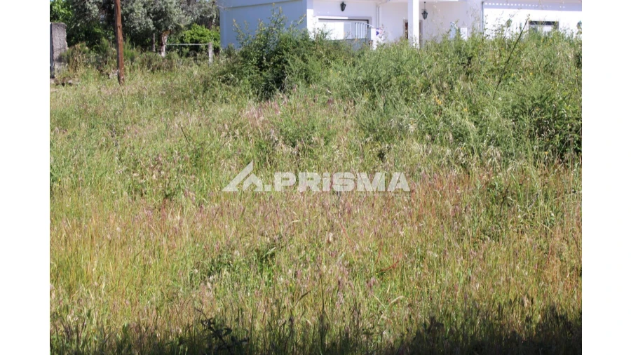 Terreno para Venda em Alcains Foto 12