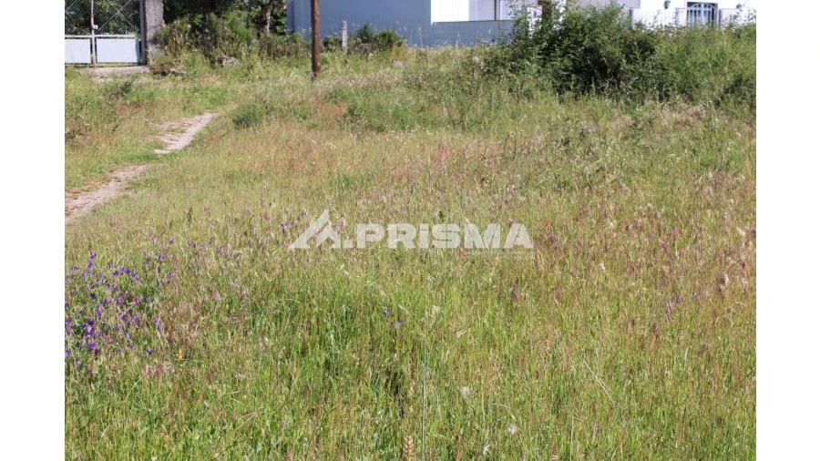 Terreno para Venda em Alcains Foto 11
