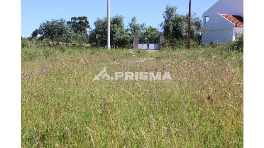 Terreno para Venda em Alcains Foto 3