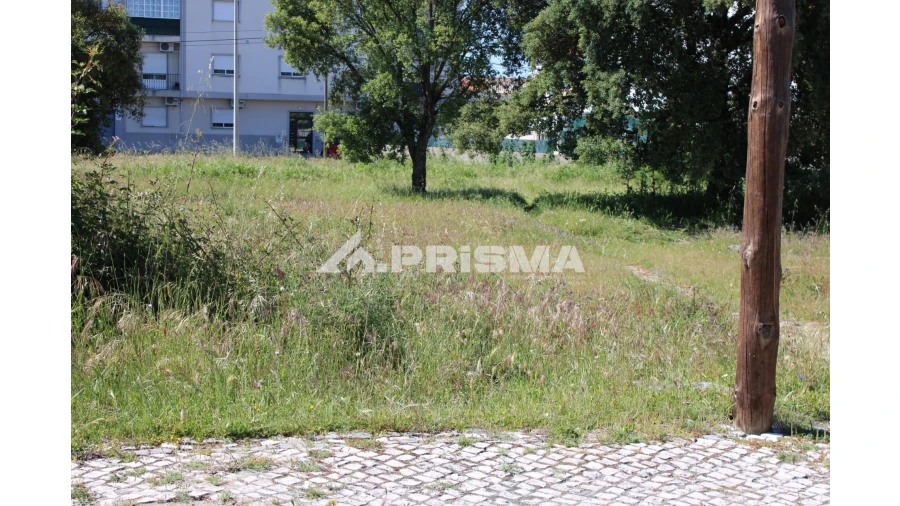 Terreno para Venda em Alcains Foto 9