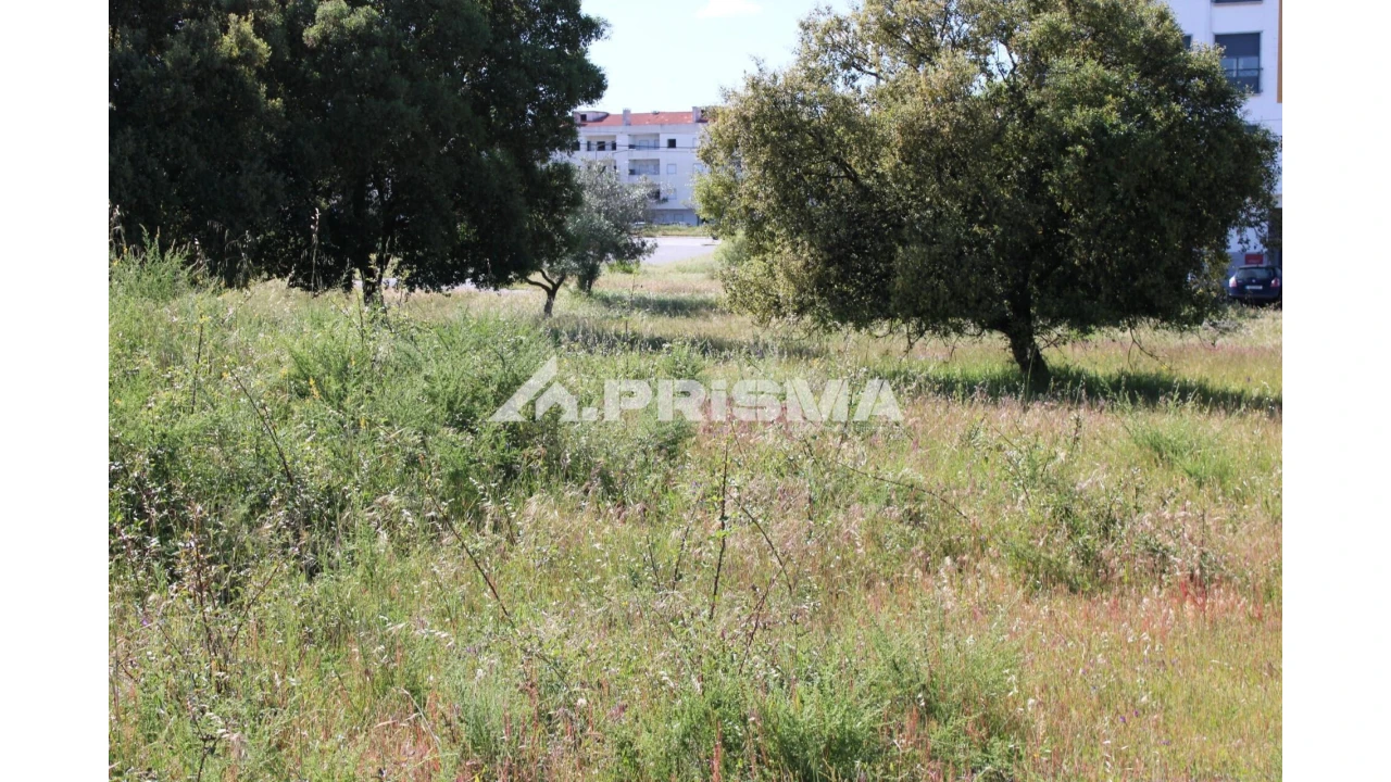 Terreno para Venda em Alcains Foto 2