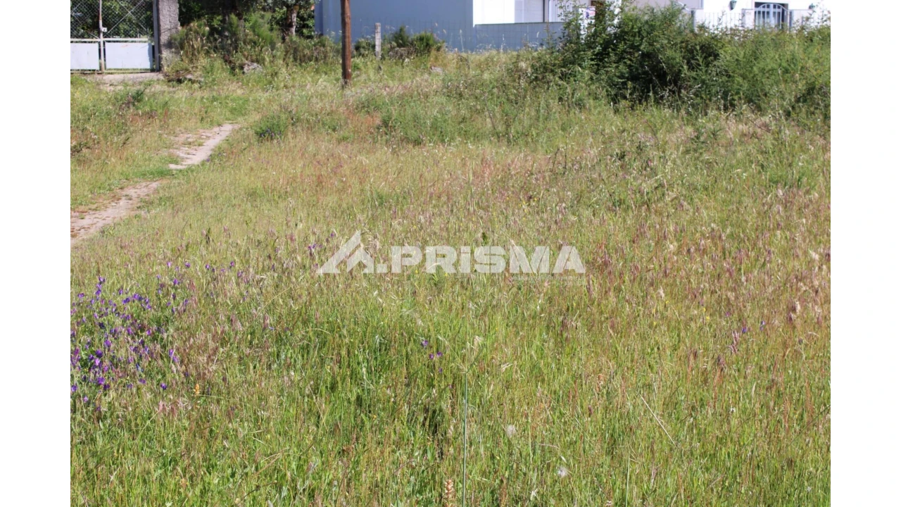 Terreno para Venda em Alcains Foto 11