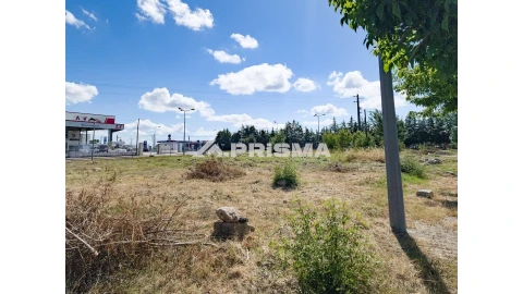 Terreno para Venda em Alcains