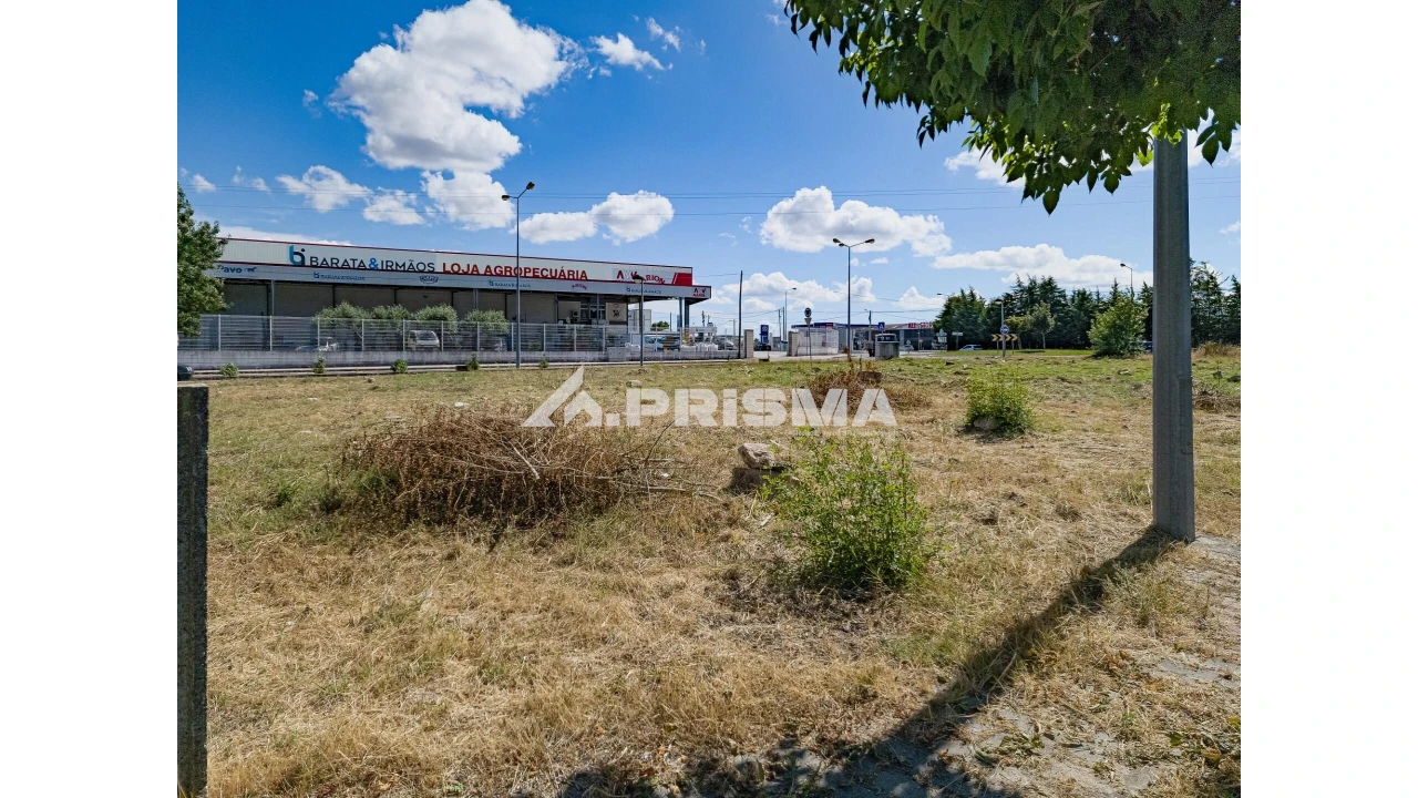 Terreno para Venda em Alcains Foto 4