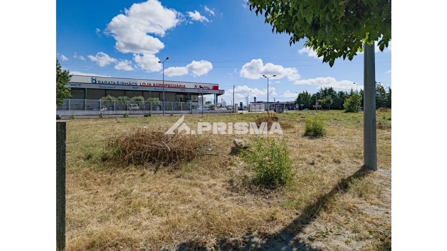 Terreno para Venda em Alcains Foto 4