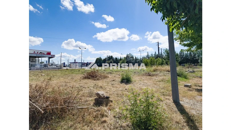 Terreno para Venda em Alcains Foto 6