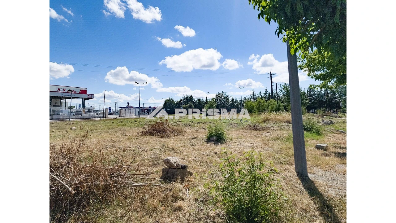 Terreno para Venda em Alcains Foto 6