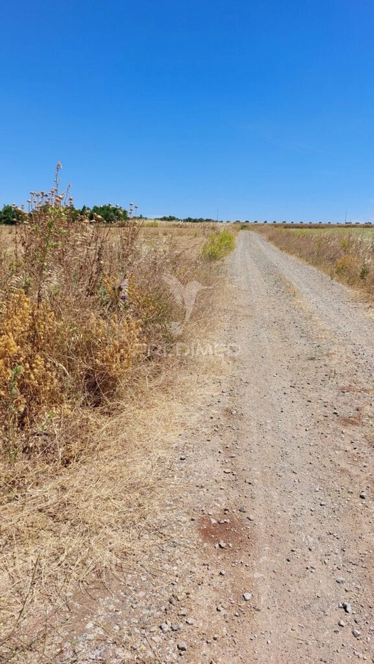 Terreno para Venda em Trigaches e São Brissos Foto 13