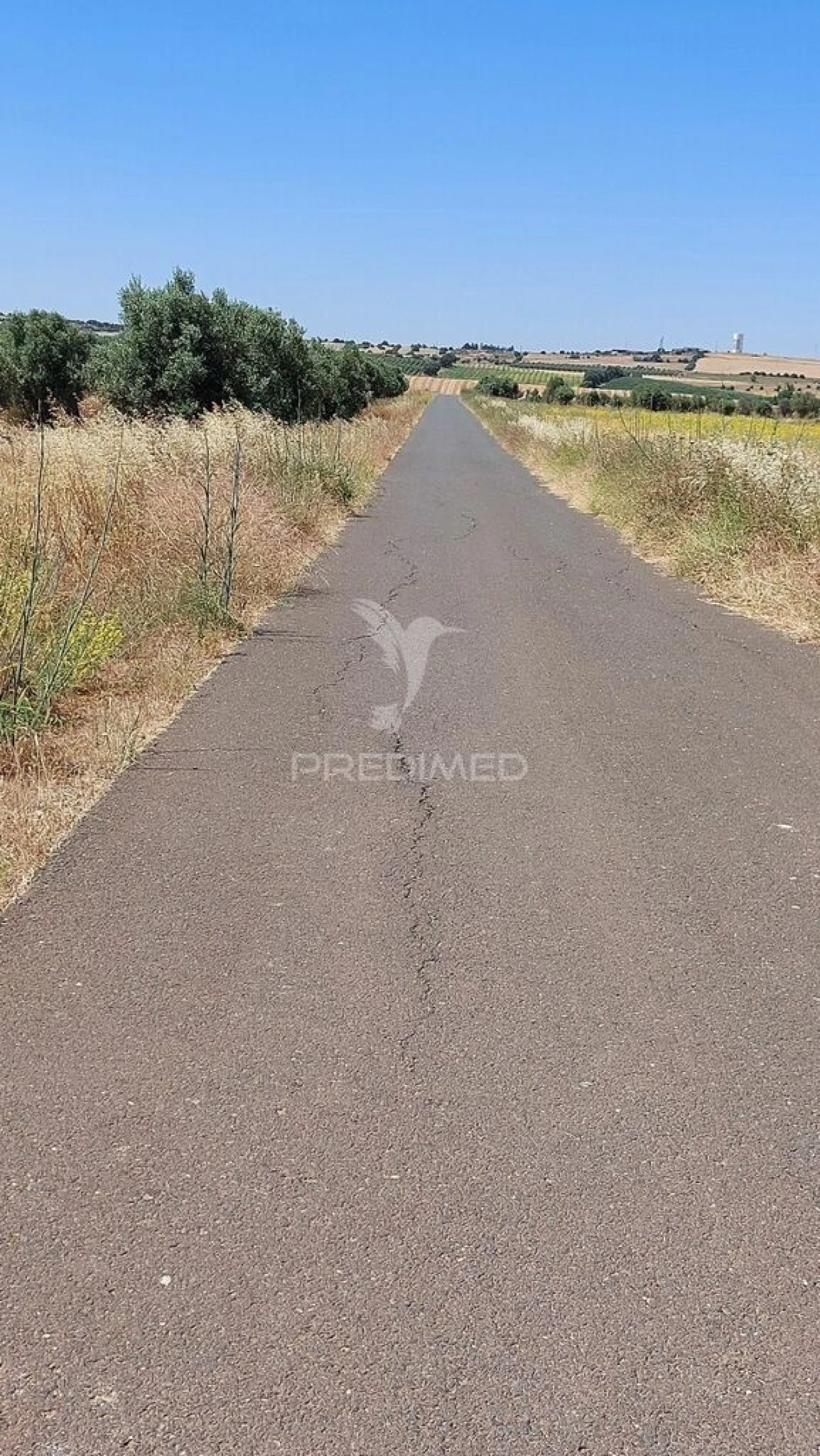 Terreno para Venda em Trigaches e São Brissos Foto 2