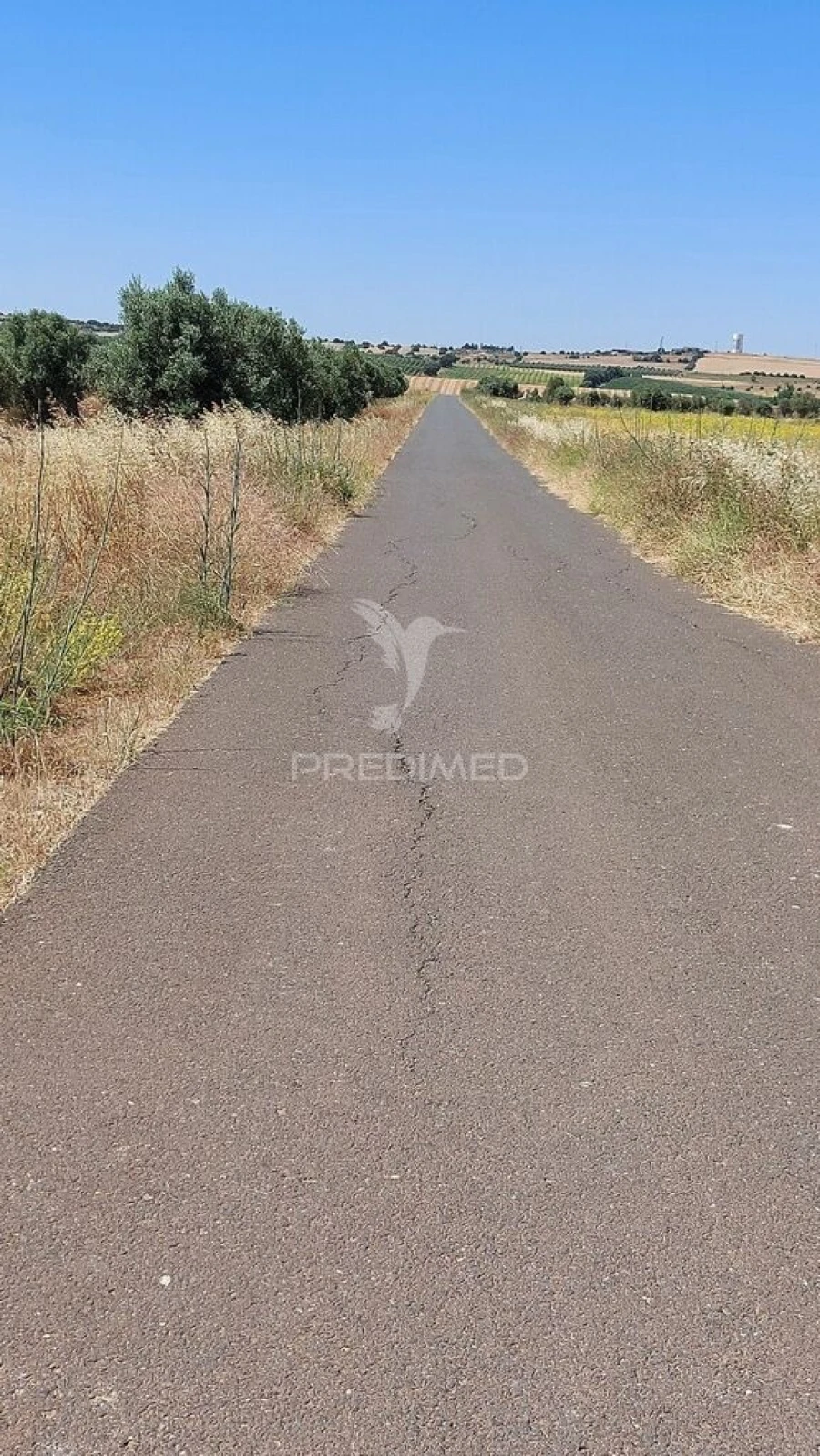 Terreno para Venda em Trigaches e São Brissos Foto 2