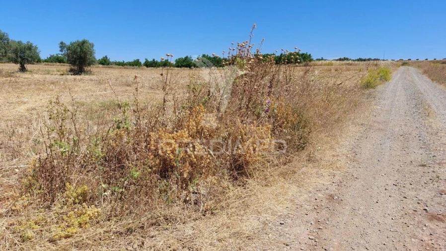 Terreno para Venda em Trigaches e São Brissos Foto 4