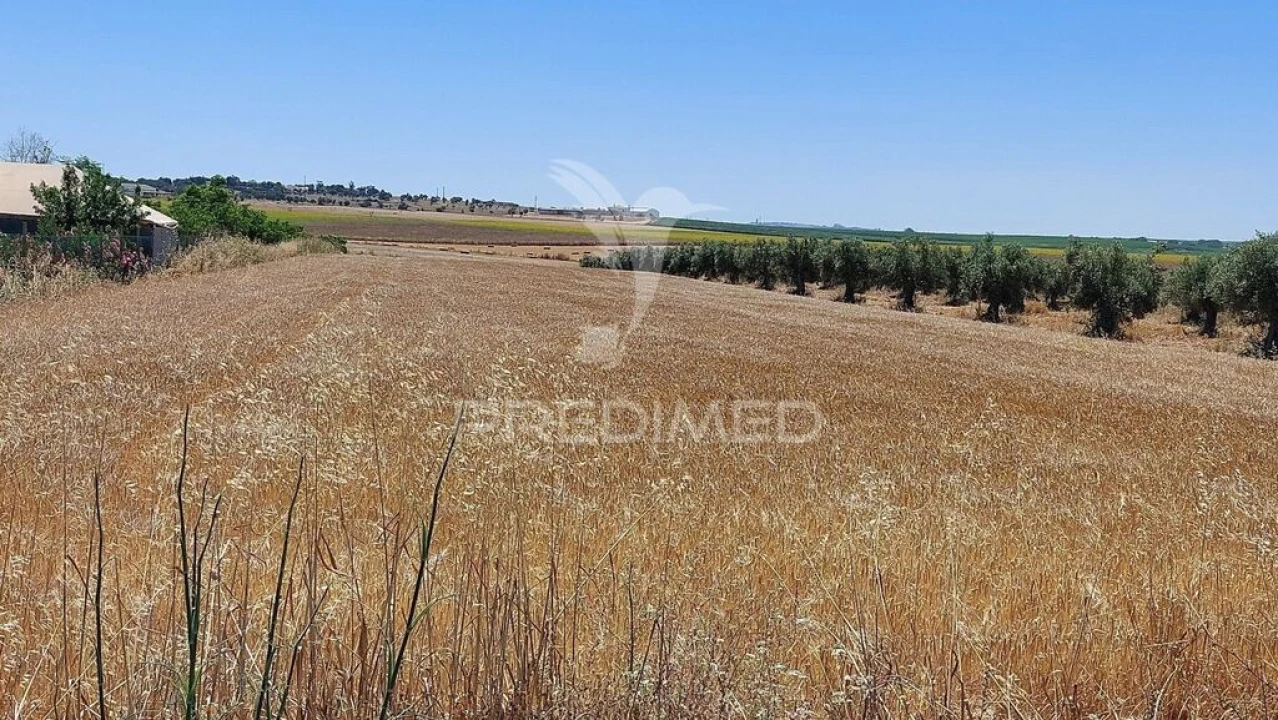 Terreno para Venda em Trigaches e São Brissos Foto 9