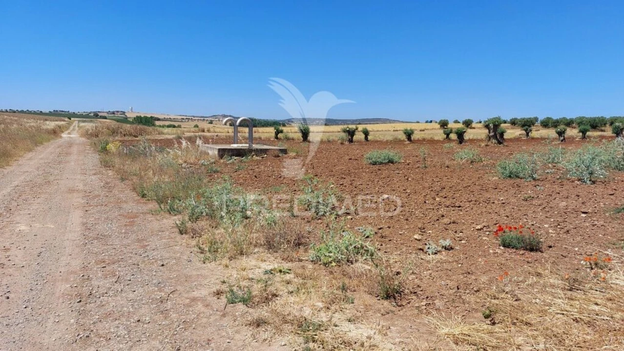 Terreno para Venda em Trigaches e São Brissos Foto 16