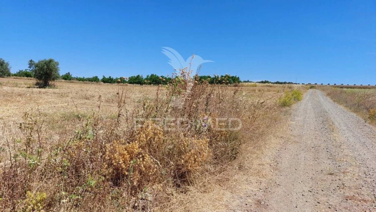 Terreno para Venda em Trigaches e São Brissos Foto 1