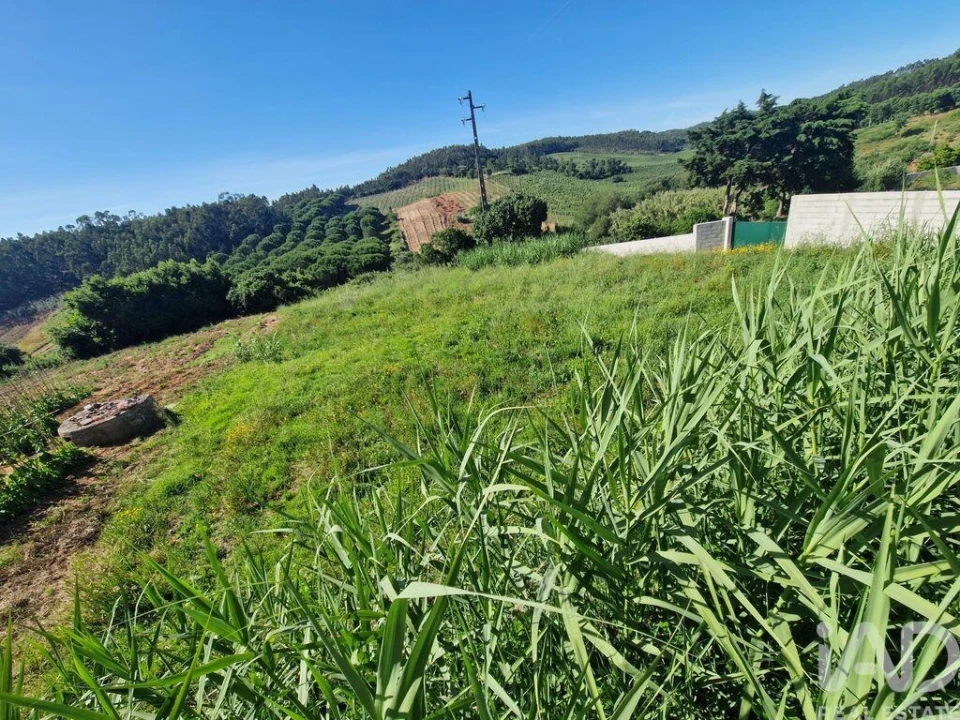 Terreno para Venda em Cadaval e Pêro Moniz Foto 17
