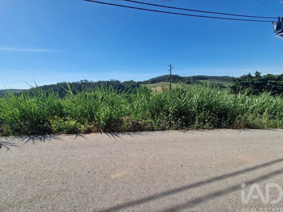 Terreno para Venda em Cadaval e Pêro Moniz Foto 18